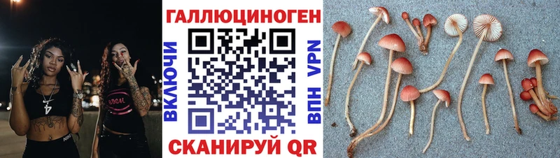 Псилоцибиновые грибы Cubensis  Купить  Жуковский 